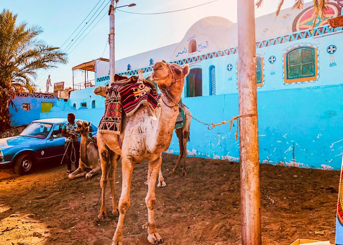 Aswan City
