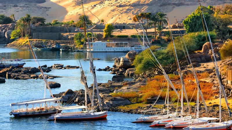 aswan city
